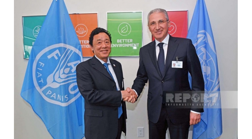 muxtar-babayev-fao-nun-bash-direktoru-ile-gorushub