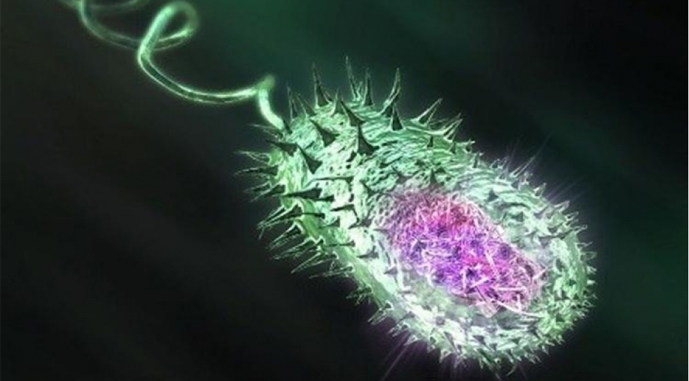 mozambikde-veba-32-can-alib