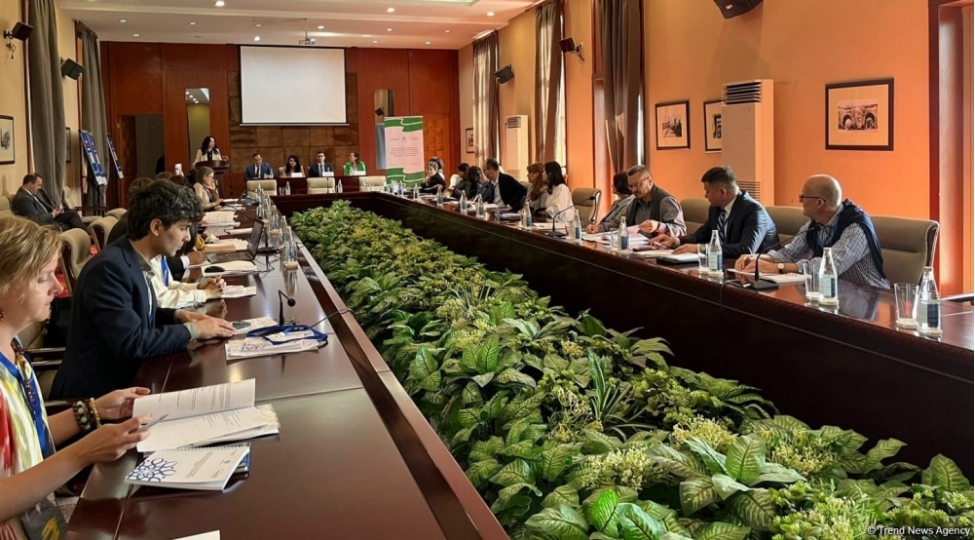 icomos-un-prezidenti-dunya-medeni-irsi-bir-sira-chagirishlarla-uz-uzedir