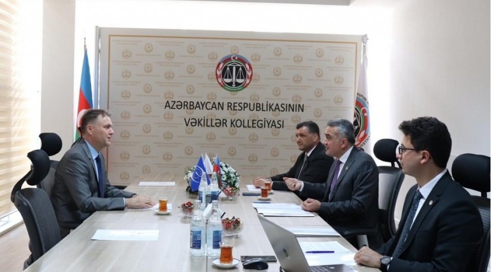 vekiller-kollegiyasinda-avropa-shurasinin-rehberliyi-ile-gorush-kechirilib