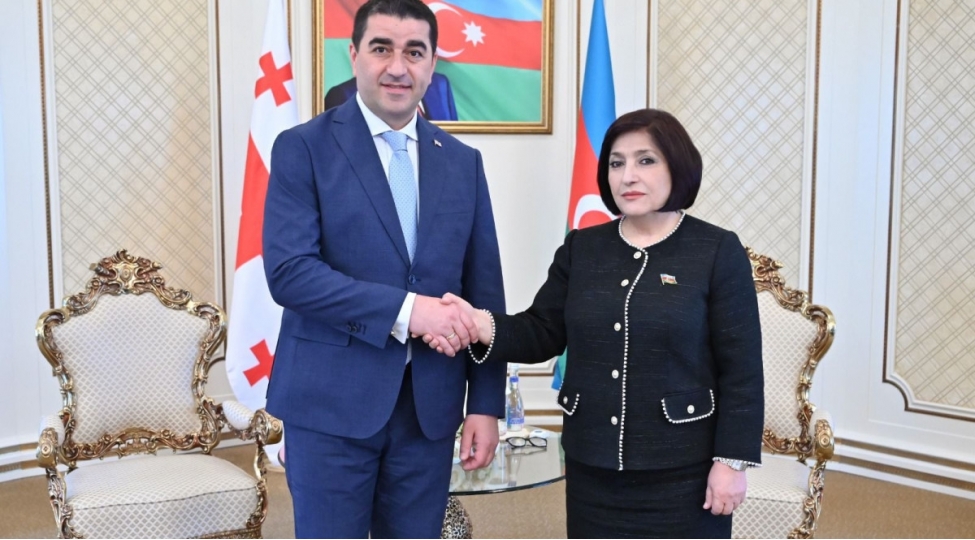 sahibe-qafarova-gurcustan-parlamentinin-sedri-ile-gorushub