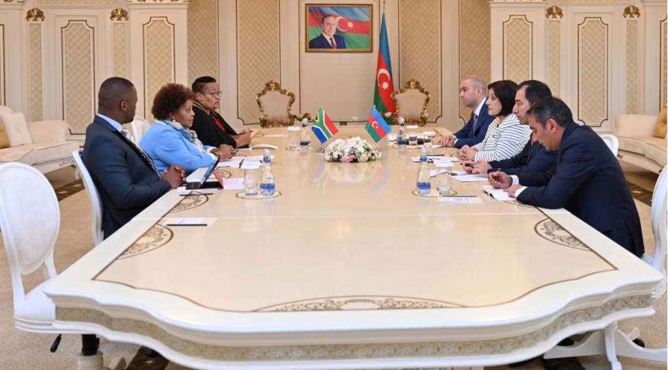 sahibe-qafarova-car-in-milli-assambleyasinin-sedri-ile-gorushub