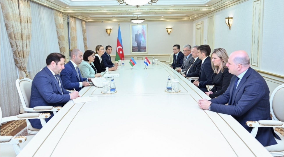 sahibe-qafarova-xorvatiya-parlamentinin-sedr-muavini-ile-gorushub