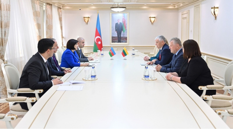milli-meclisin-sedri-litva-seyminin-sedr-muavini-ile-gorushub