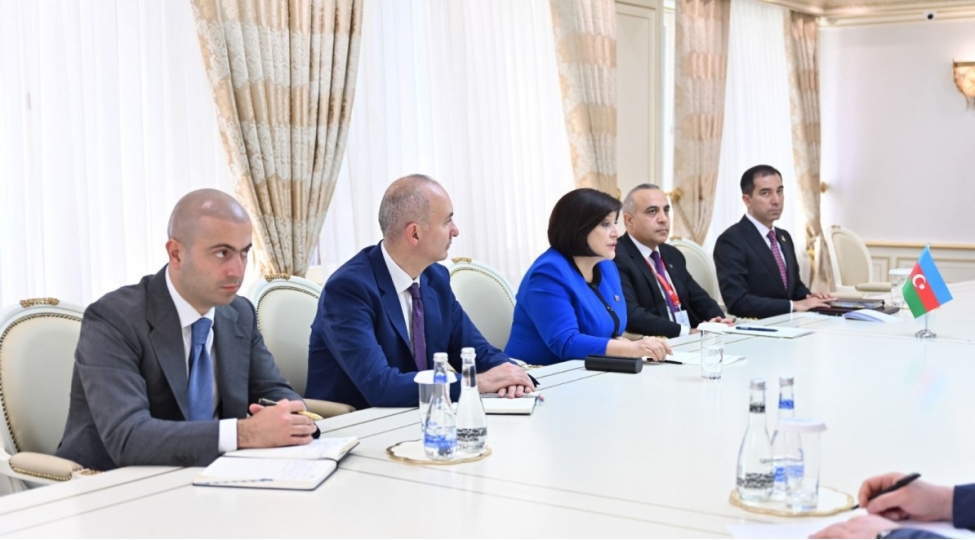 sahibe-qafarova-atet-parlament-assambleyasinin-prezidenti-ile-gorushub