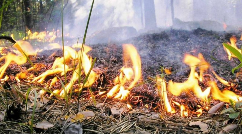 bineqedide-achiq-erazide-bash-vermish-yangin-sondurulub-yenilenib