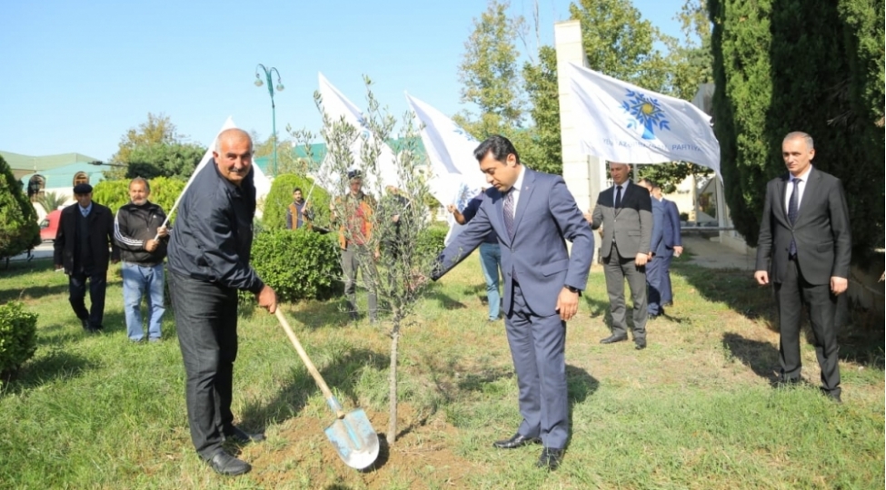 goranboyda-agacekme-aksiyasi-kechirilib-foto