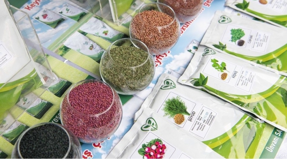 azerbaycanda-elit-toxumlarin-satish-qiymetinin-yuxari-heddi-artirilib