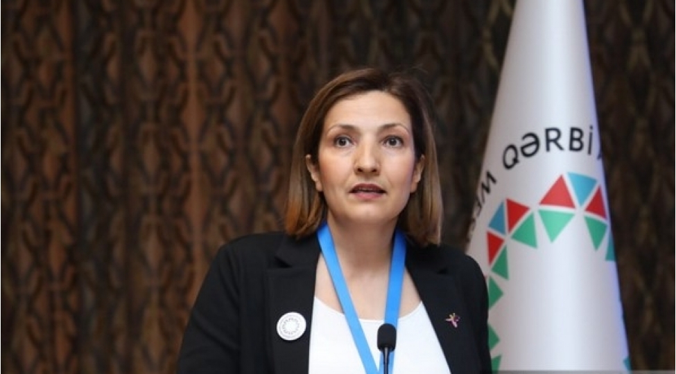 turkiyeli-professor-irevanin-tarixi-turk-torpagi-oldugunu-faktlarla-esaslandirib