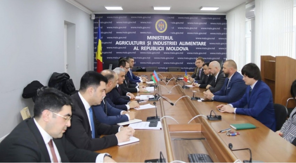 azerbaycan-ve-moldova-aqrar-sektorda-emekdashligi-muzakire-edib-foto