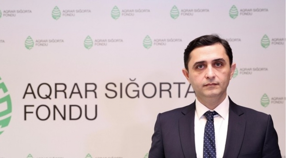 azerbaycanda-aqrar-sigorta-potensialinin-90-den-istifade-olunmur