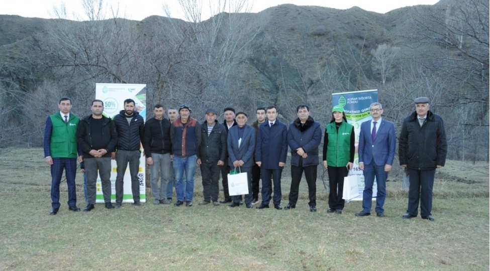 cenub-bolgesindeki-fermerlere-40-min-manatdan-chox-sigorta-odenishi-verilib