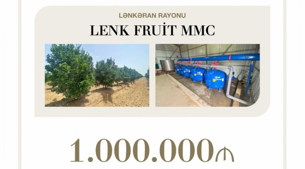 lenkeranda-bagchiligin-inkishafi-layihesine-1-milyon-manat-guzeshtli-kredit-verilib