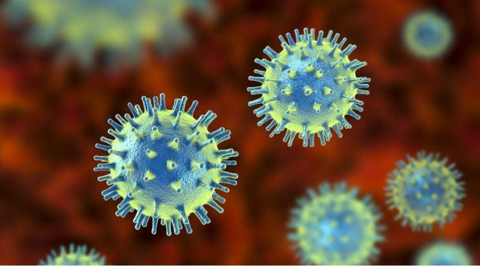 zombi-virusla-bagli-xeberdarliq