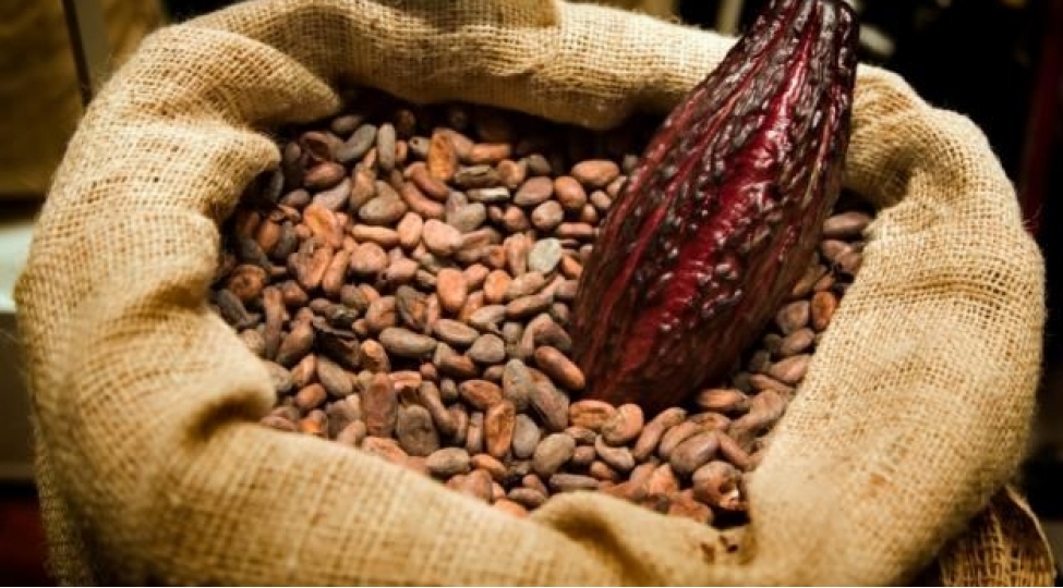 azerbaycan-kakao-idxalina-chekdiyi-xerci-15-den-chox-artirib