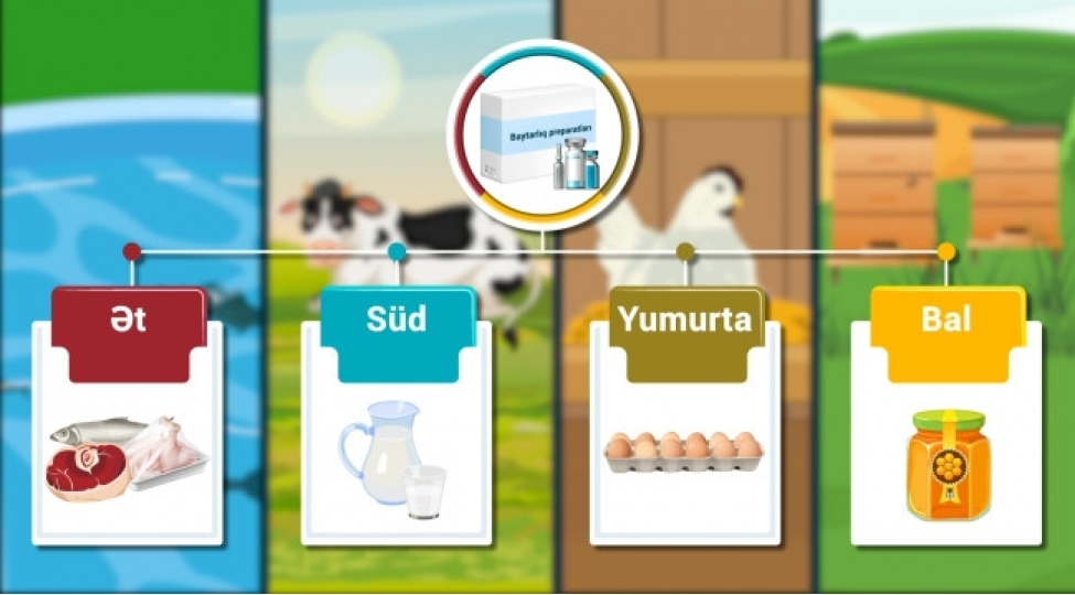 heyvan-mensheli-mehsullarda-preparat-qaliqlarinin-yaranmasinin-qarshisini-nece-almaq-olar-fotovideo