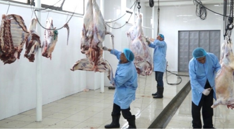 qanunvericiliyin-teleblerine-cavab-veren-heyvan-kesimi-menteqeleri-olmayan-rayonlarin-adlari-achiqlanib