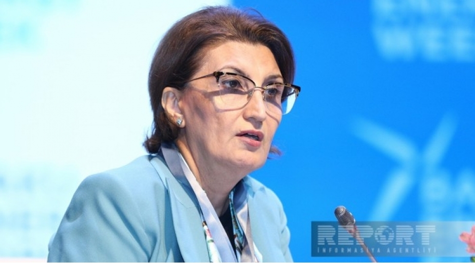 socar-naxchivan-strukturunun-ehtiyatlarinin-qiymetlendirilmesini-artirib