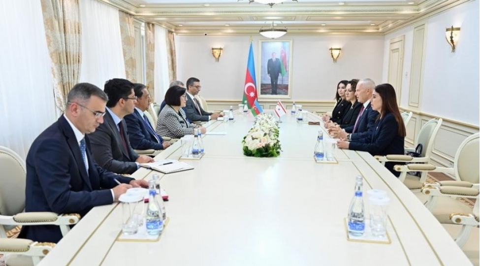 sahibe-qafarova-shimali-kipr-turk-cumhuriyyeti-meclisinin-sedri-ile-gorushub