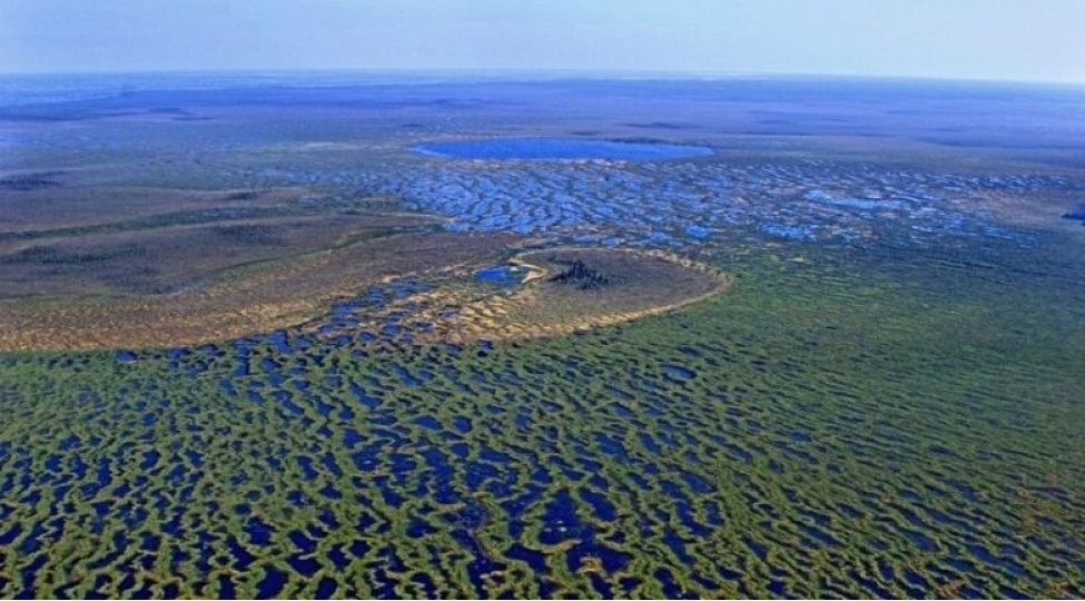 planetin-en-boyuk-bataqligi-haradadir