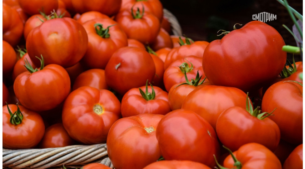 pomidor-kishilere-daha-chox-faydalidir
