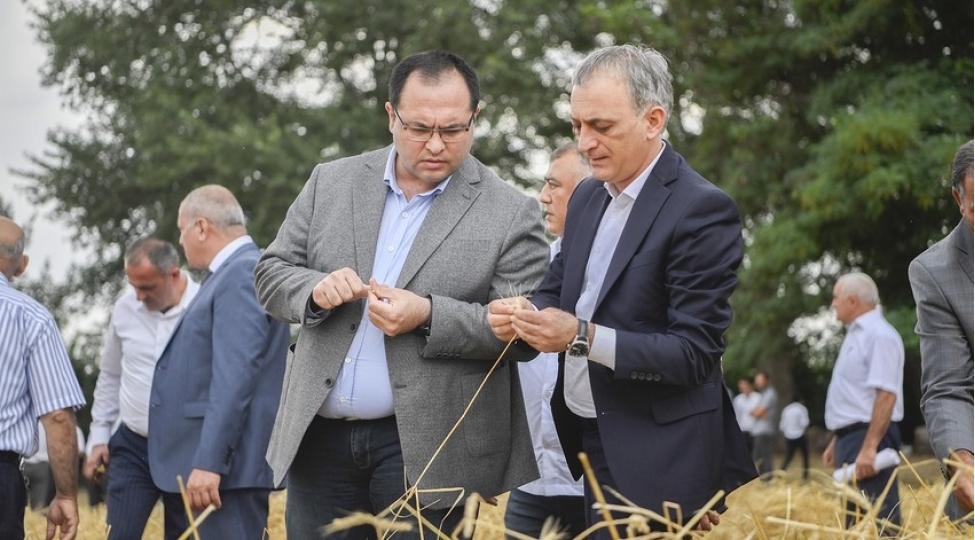 mecnun-memmedov-xachmazda-taxil-bichinini-izleyib-fermerlerle-gorushub