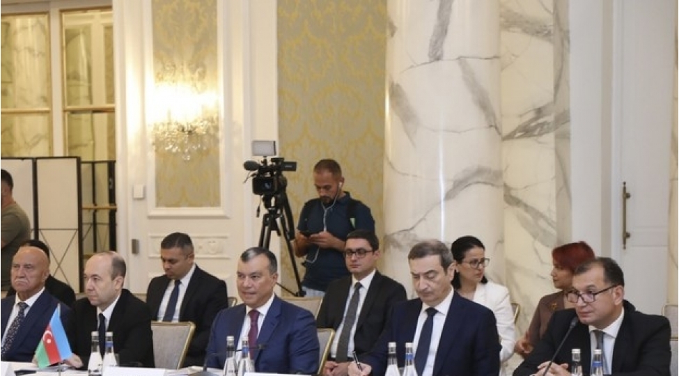 serbiyanin-eczachiliq-shirketleri-azerbaycanin-senaye-zonalarinda-fealiyyet-gostere-biler-nazir-muavini