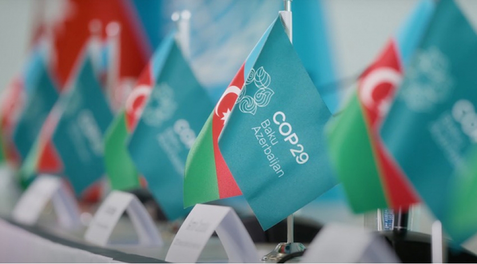 cop29-cherchivesinde-yashil-reqemsal-fealiyyet-uzre-beyanname-qebul-edilecek