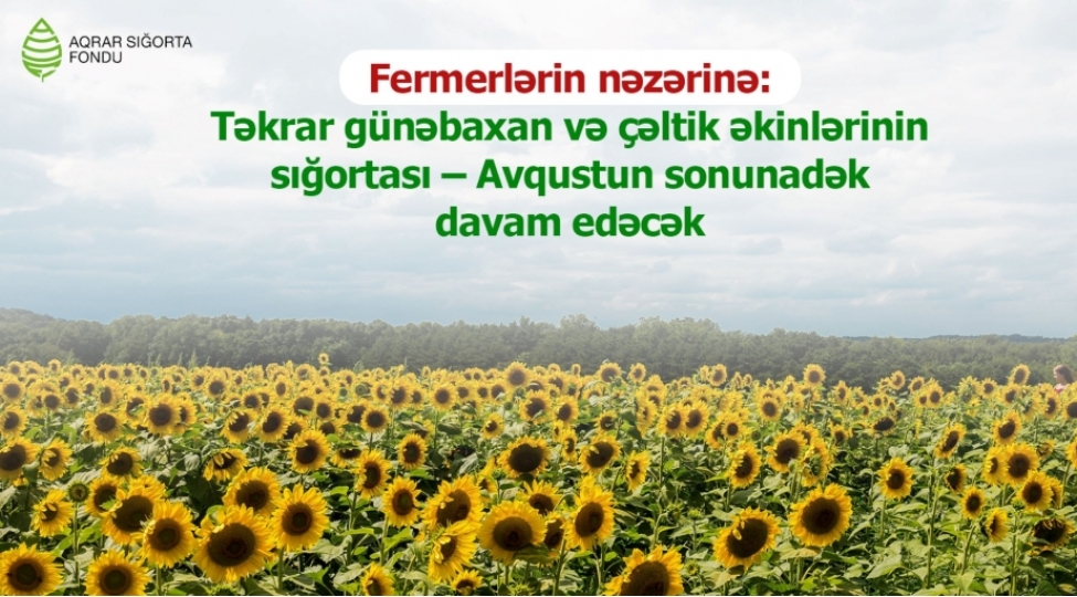 tekrar-gunebaxan-ve-cheltik-ekinlerinin-sigortasi-avqustun-sonunadek-davam-edecek