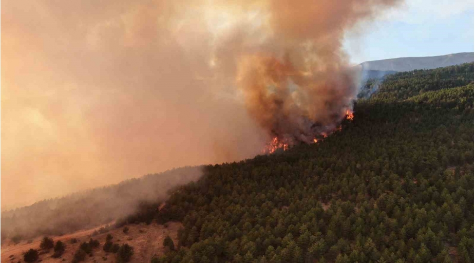 turkiyenin-4-kend-boshaldilib