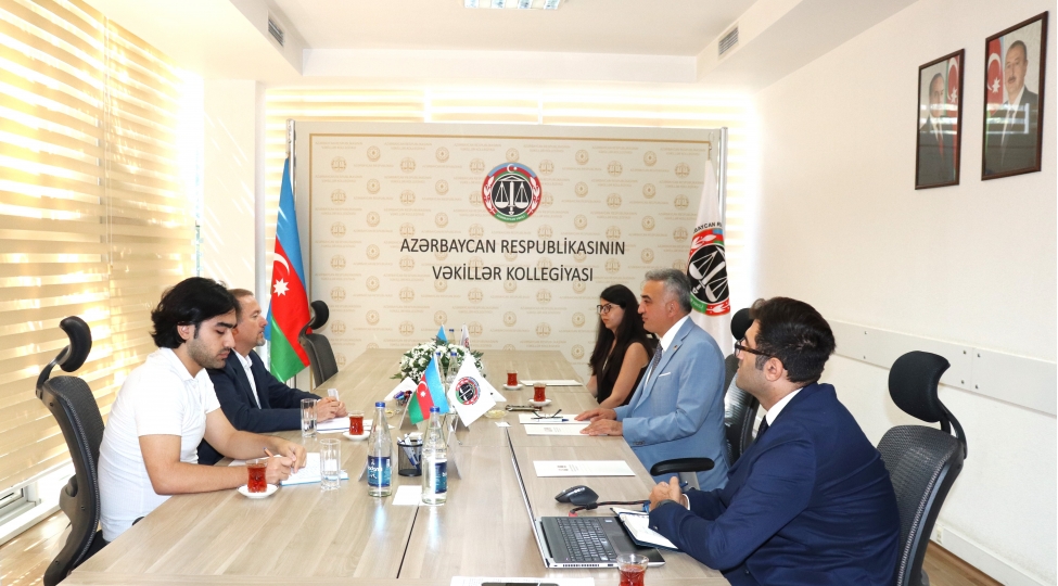 vekiller-kollegiyasinda-atet-in-sechki-mushahide-missiyasinin-numayendesi-ile-gorush-kechirilib