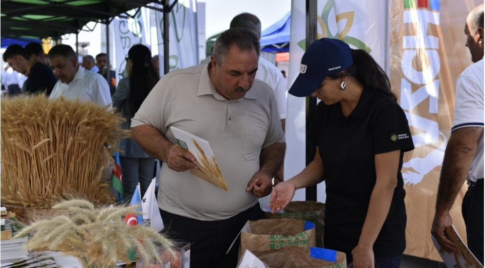 agsu-ve-zerdabda-novbeti-toxum-sergi-satish-yarmarkalari-kechirilib