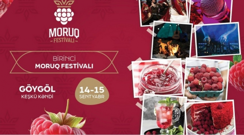 azerbaycanda-ilk-defe-moruq-festivali-kechirilecek