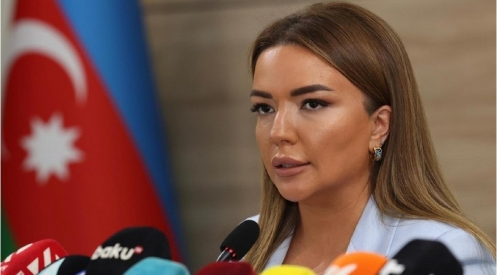 aygun-eliyeva-karbon-vergisinin-tetbiqi-gelir-berabersizliyi-yarada-biler