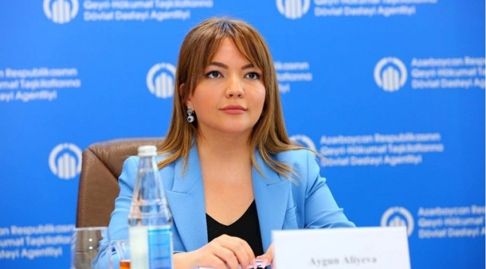 qht-lere-dovlet-desteyi-agentliyi-maliyyeleshdirdiyi-layihelerin-sayini-achiqlayib