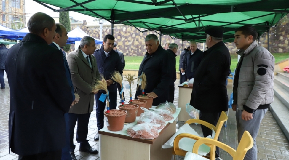 siyezende-aqrar-biznes-festivali-kechirilib