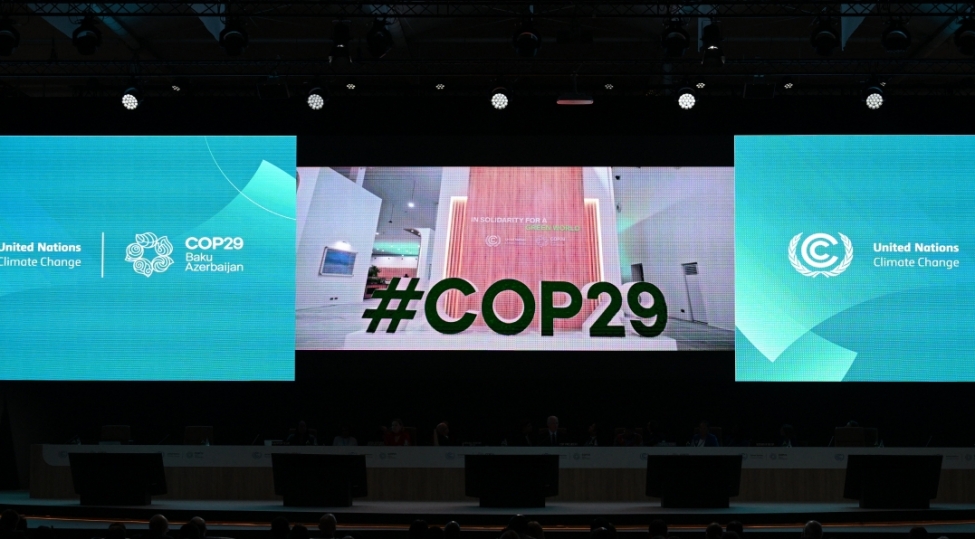 60-minden-chox-ecnebinin-ishtiraki-cop29-u-boykotla-bagli-chagirishlara-uygun-gelmir