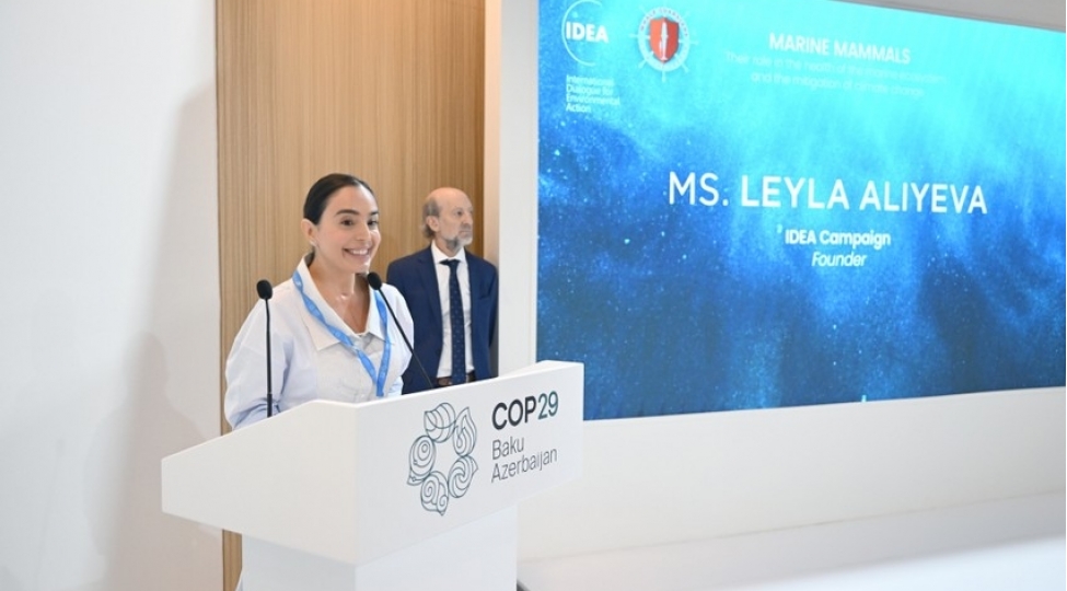 leyla-eliyeva-cop29-cherchivesinde-deniz-canlilarina-dair-panel-muzakirelerinde-ishtirak-edib