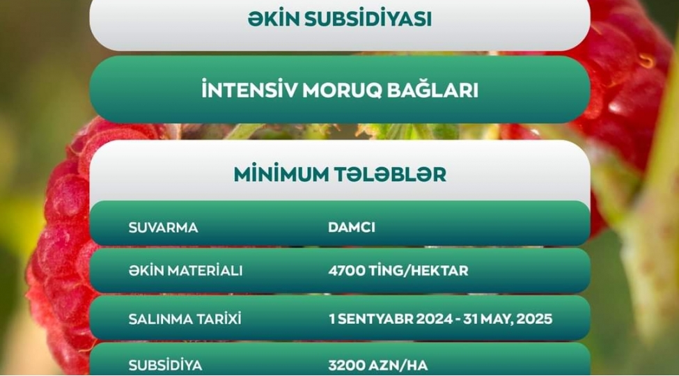 fermerlere-3200-manat-birdefelik-ekin-subsidiyasi-verilecek