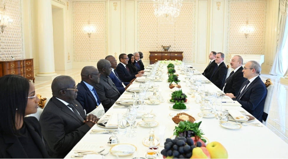 afrika-dovletleri-azerbaycana-xususi-onem-verirler