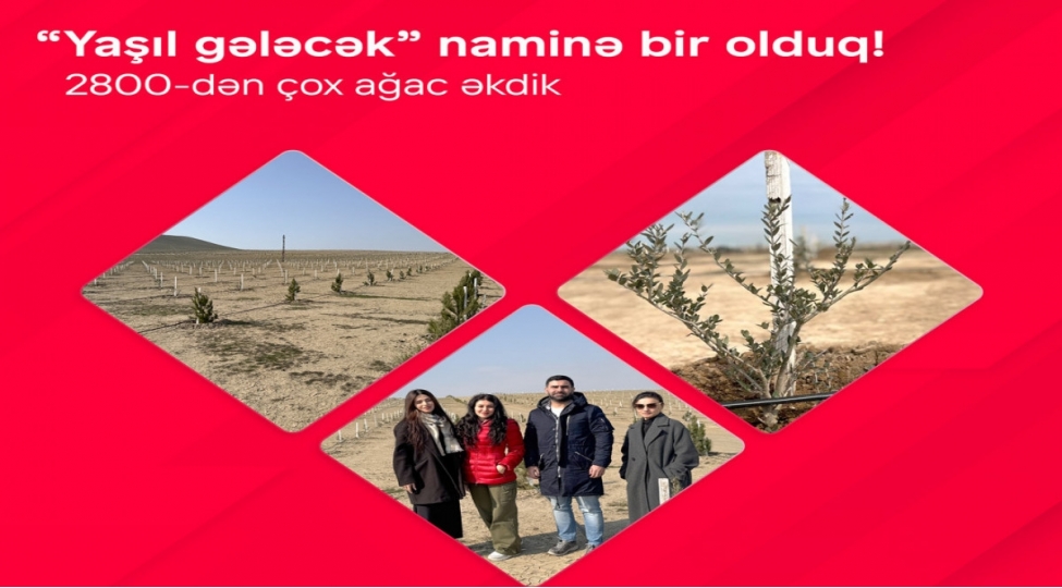 birbank-lilar-yashil-gelecek-namine-2800-den-chox-agac-ekibler