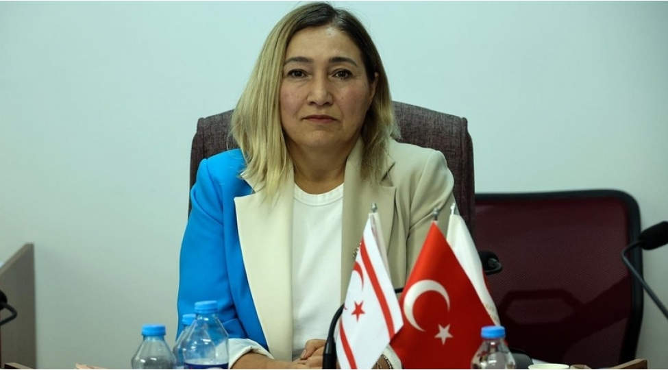 shimali-kipr-numayendesi-turk-dovletlerine-muraciet-edib