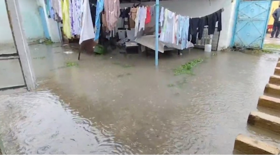 qubada-leysan-yagishlari-bir-sira-fesadlar-toredib-video