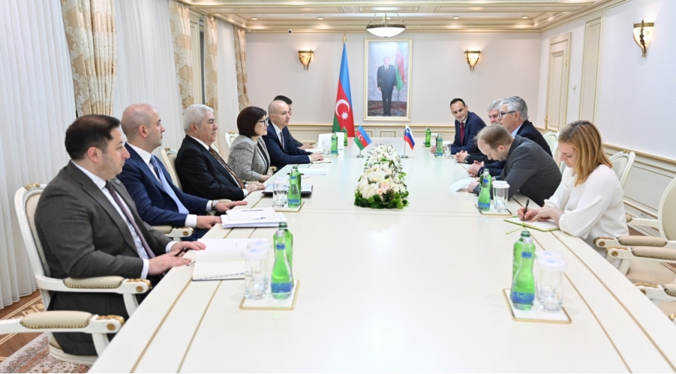 boyan-chebela-sloveniya-xalqi-mehdi-huseynzadenin-xatiresini-ehtiramla-yad-edir