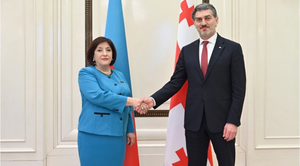 gurcustan-prezidenti-ile-milli-meclisde-gorush-kechirilib