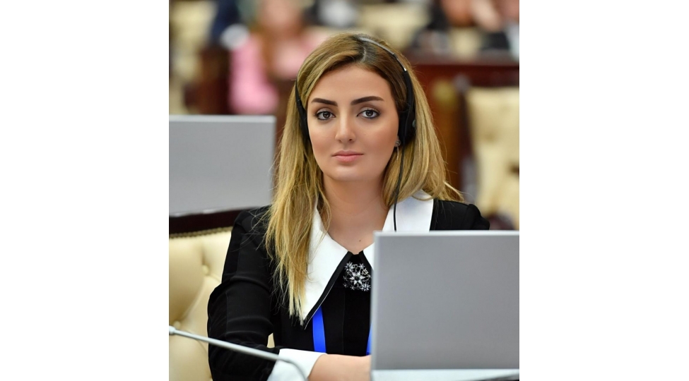 azerbaycan-terefdashlar-uchun-cenubi-qafqazda-achar-rolunu-oynayir