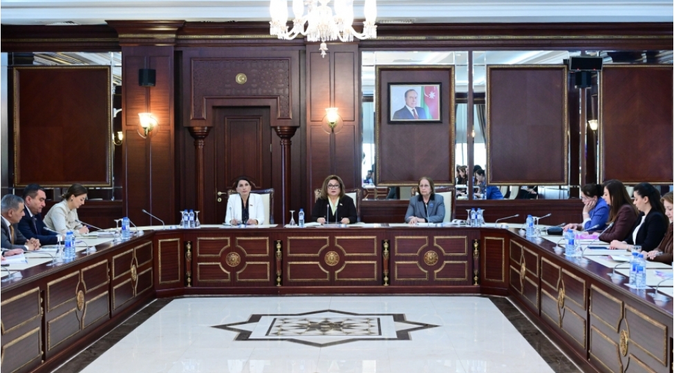 ishgaldan-azad-edilmish-erazilere-2024-cu-ilde-kochurulen-teserrufatlarin-uchdebiri-qadinlara-mexsusdur