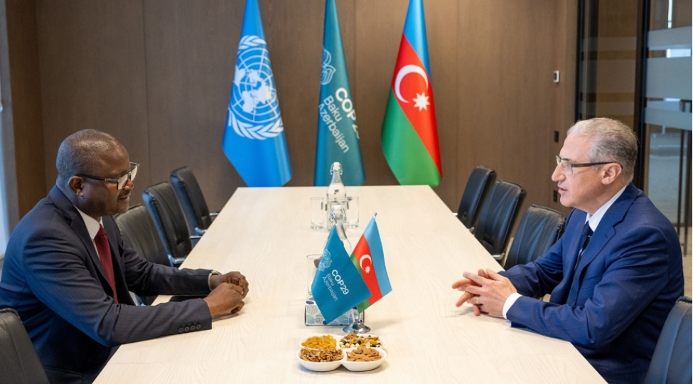 cop29-rehberliyi-qvineya-bisaunun-etraf-muhit-naziri-ile-gorushub
