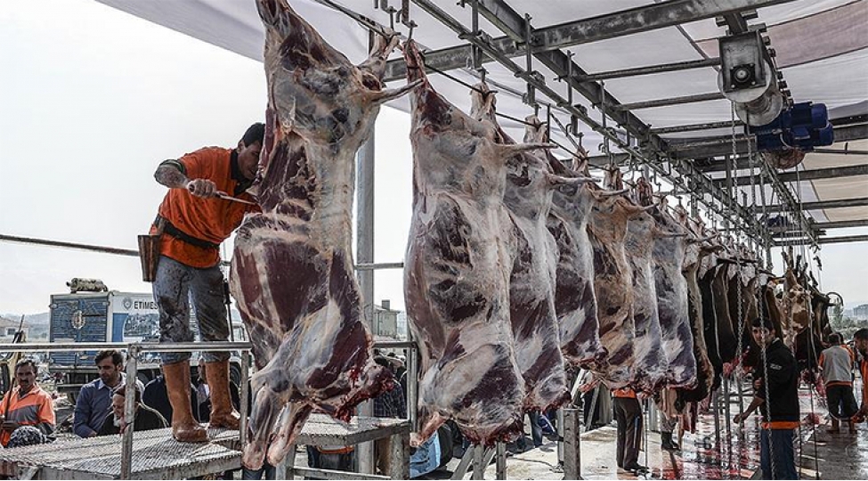 Qurban bayramında 3 milyon 330 min heyvan kəsilib -Türkiyədə