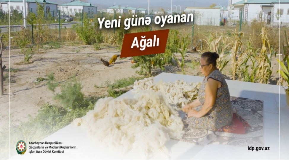 yeni-gune-oyanan-agali-video
